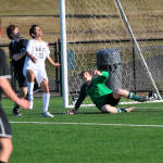 Click for full size image