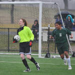 Click for full size image