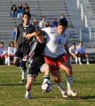 Click for full size image