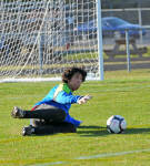 Click for full size image