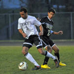 Click for full size image