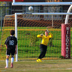 Click for full size image