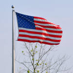 Click for full size image