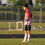 Click for full size image