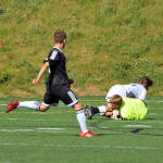 Click for full size image