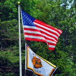 Click for full size image