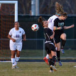 Click for full size image