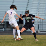 Click for full size image