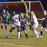 Click for full size image