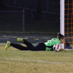 Click for full size image