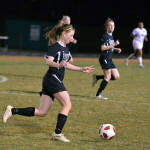 Click for full size image