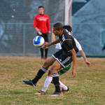 Click for full size image