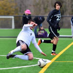 Click for full size image