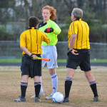 Click for full size image