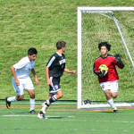 Click for full size image