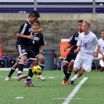 Click for full size image