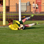 Click for full size image