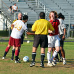 Click for full size image