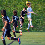 Click for full size image