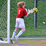 Click for full size image