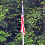 Click for full size image