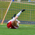 Click for full size image