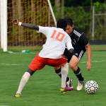 Click for full size image