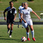 Click for full size image